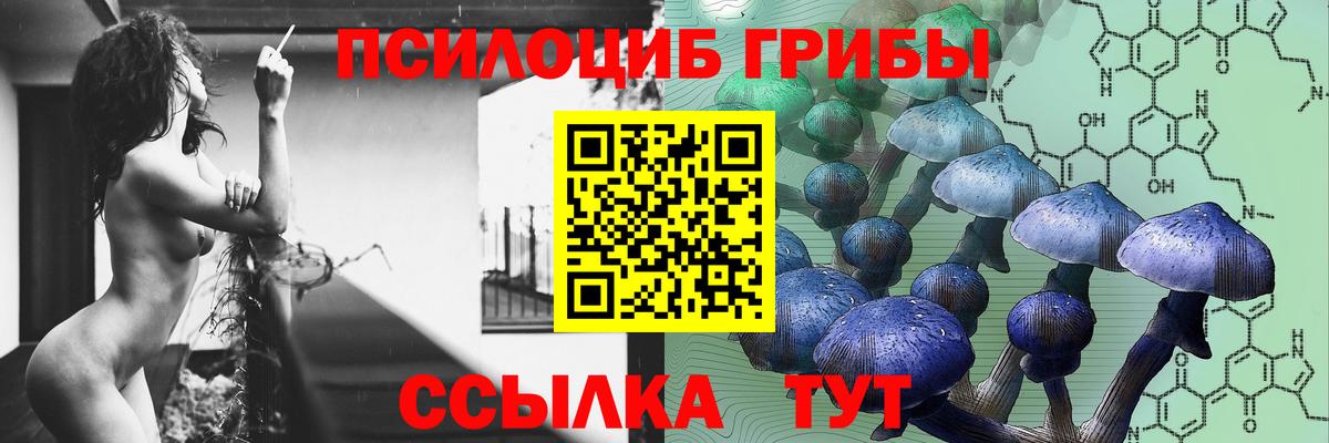 сколько стоит  Вход с VPN  Кимовск  Псилоцибиновые грибы Psilocybine cubensis 